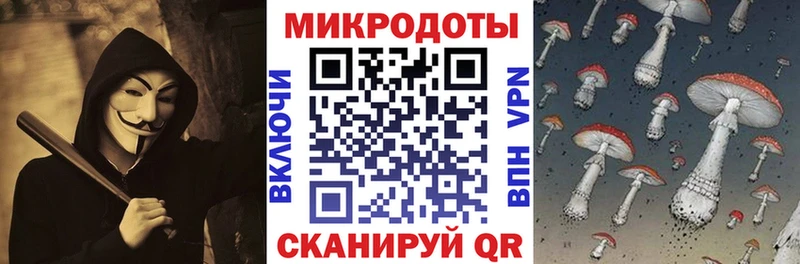 дарнет шоп  Подпорожье  Псилоцибиновые грибы GOLDEN TEACHER 